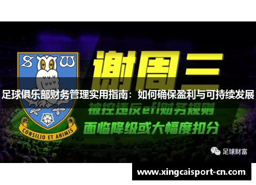 足球俱乐部财务管理实用指南：如何确保盈利与可持续发展