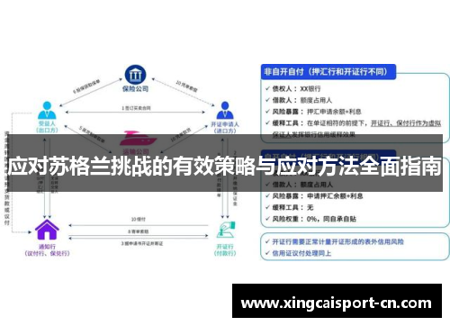 应对苏格兰挑战的有效策略与应对方法全面指南