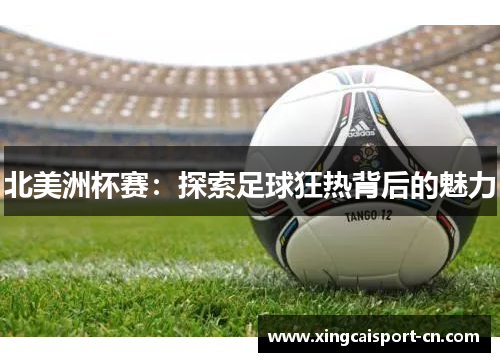 北美洲杯赛：探索足球狂热背后的魅力